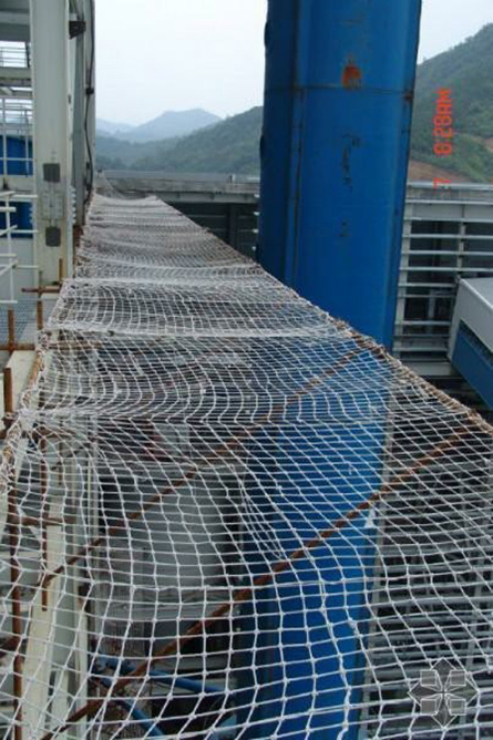 深圳市海角国精产品免费塑胶有限公司